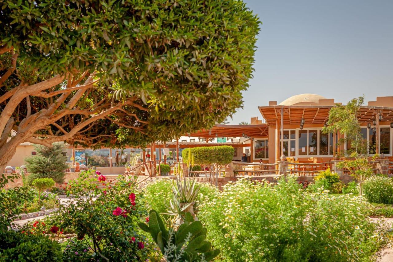 Silver Beach Redsea Resort El Qoseir Exterior foto